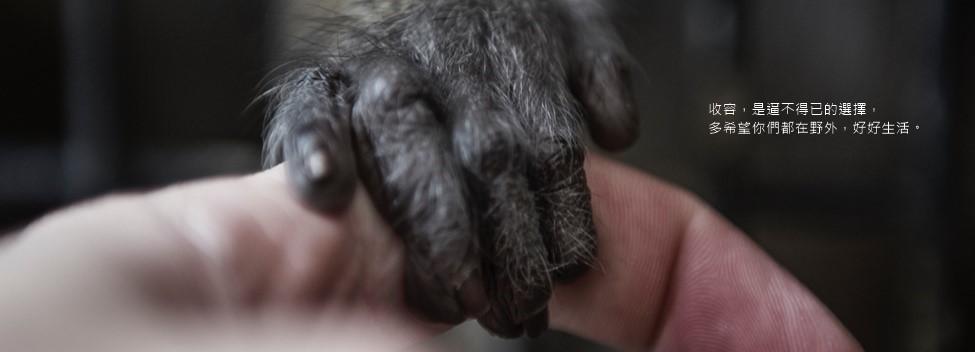 盛弘關懷臺灣生態永續 援助野生動物醫療